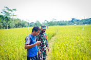 Babinsa Ramil 10/Spj, Beri Motivasi Petani Di Penghujung Kabupaten Aceh Timur