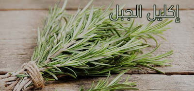 إكليل الجبل