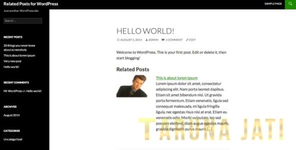 Related Posts For WordPress