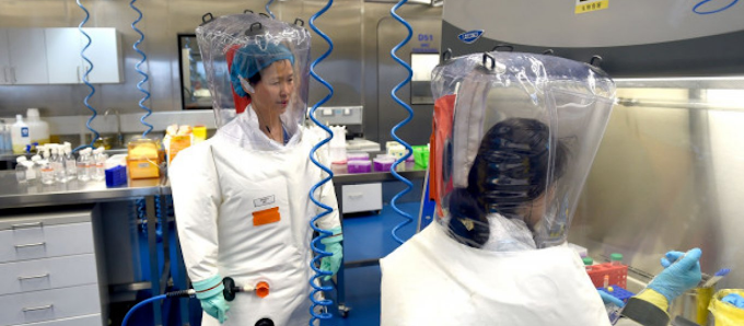  Αποκαλυπτικό δημοσίευμα: «Η Κίνα δημιούργησε ποντίκια με ανθρώπινα πνευμόνια για να γίνουν πειράματα για ιούς»