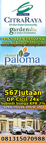 Cluster Paloma