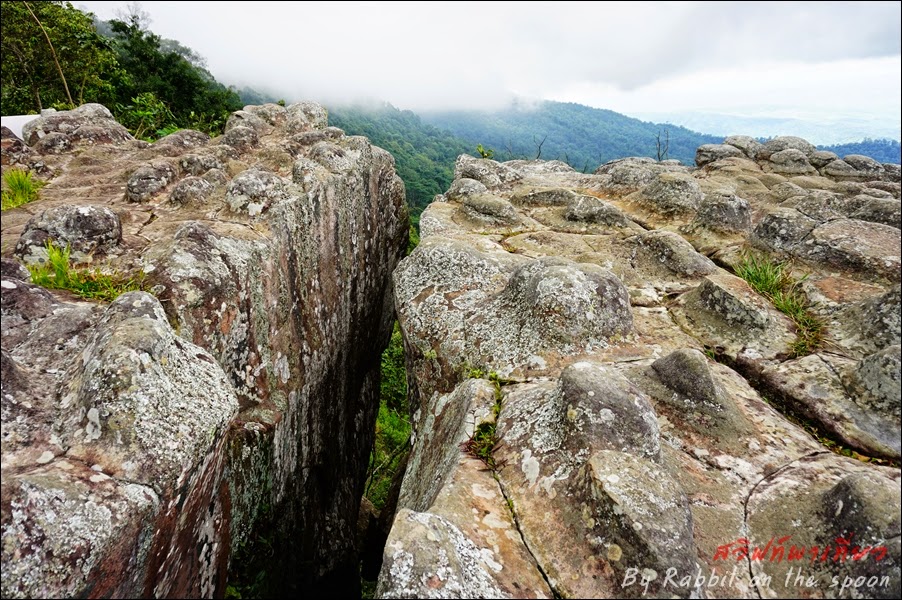 ลานหินปุ่น ณ ภูหินร่องกล้า