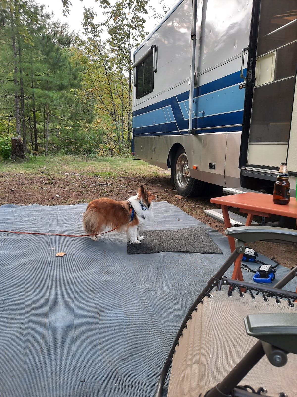 What A View!!! CAMPGROUND REVIEW Chute Pond Oconto County Park near