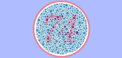 Are You Color Sensitive Quiz Answers