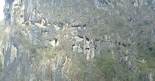 Dialog Bahasa Toraja Sehari Hari