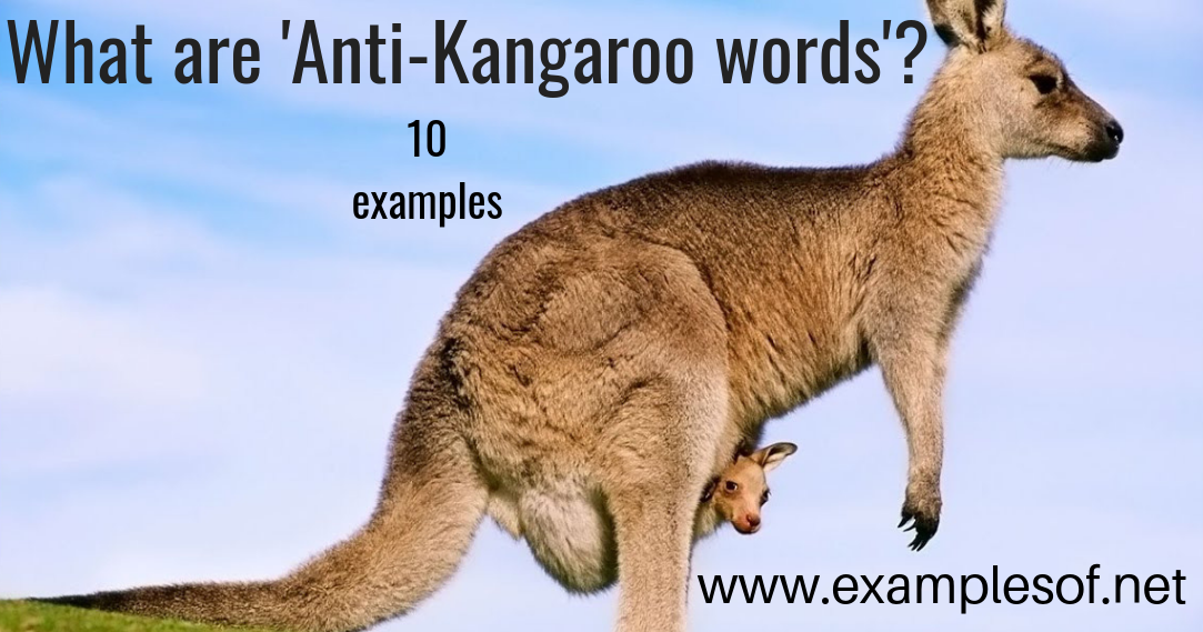 What are antikangaroo words? with 10 examples