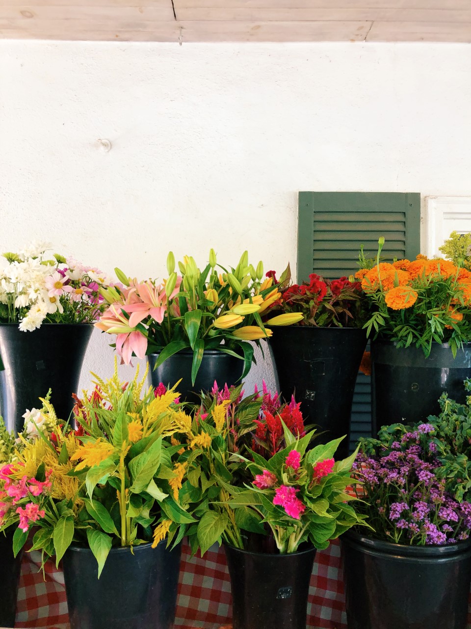 Flower Picking at Maple Acres Farm Organized Mess