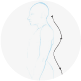 The curve of the spine, an import aspect of drawing the torso.