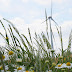 Luminus, Windkracht Vlaanderen en W-Kracht organiseren online infosessie over windproject de zesling in Oostkamp en Beernem