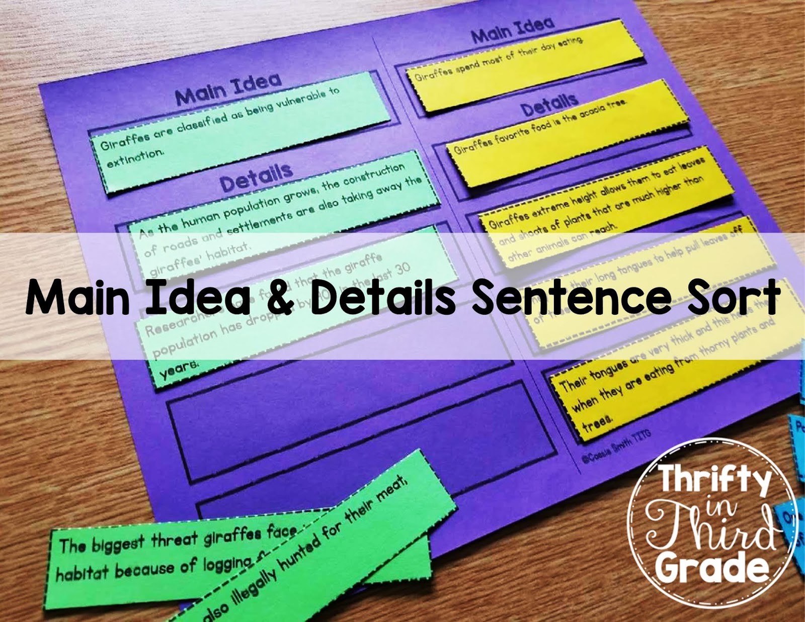 Main Idea And Details Sentence Sort Thrifty In Third Grade