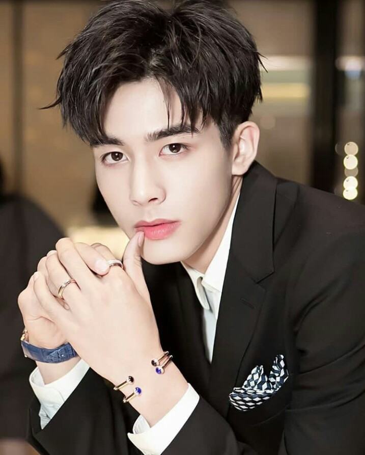 Biodata dan Profil Lengkap Song Weilong - Nona Mandarin