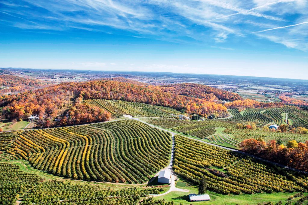 PA Environment Digest Blog PA Land Trust Assn Increasing Grant