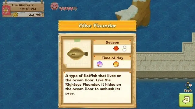 Harvest Moon: Light of Hope How to Get Olive Flounder