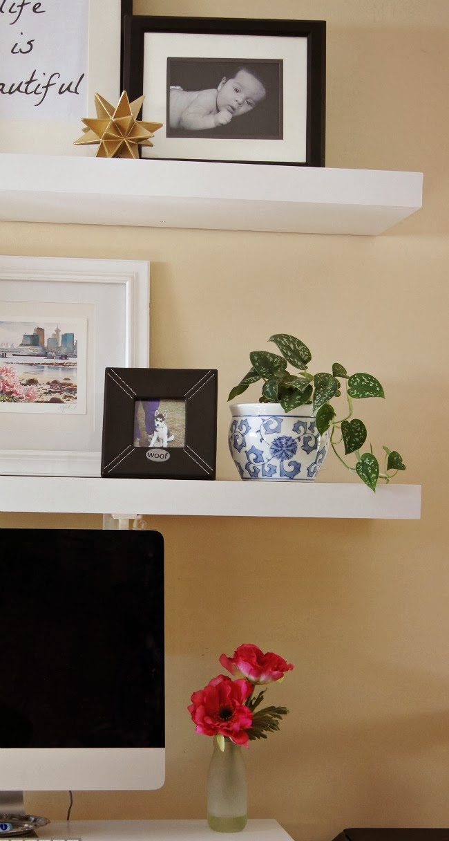 Shelves in the office with flowers and plants on it.