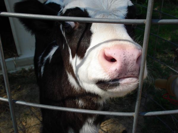 Whats the weather supposed to be like on tuesday