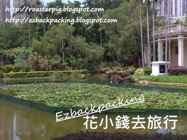 2021年青衣公園荷花+紅葉+7月25日賞花好去處
