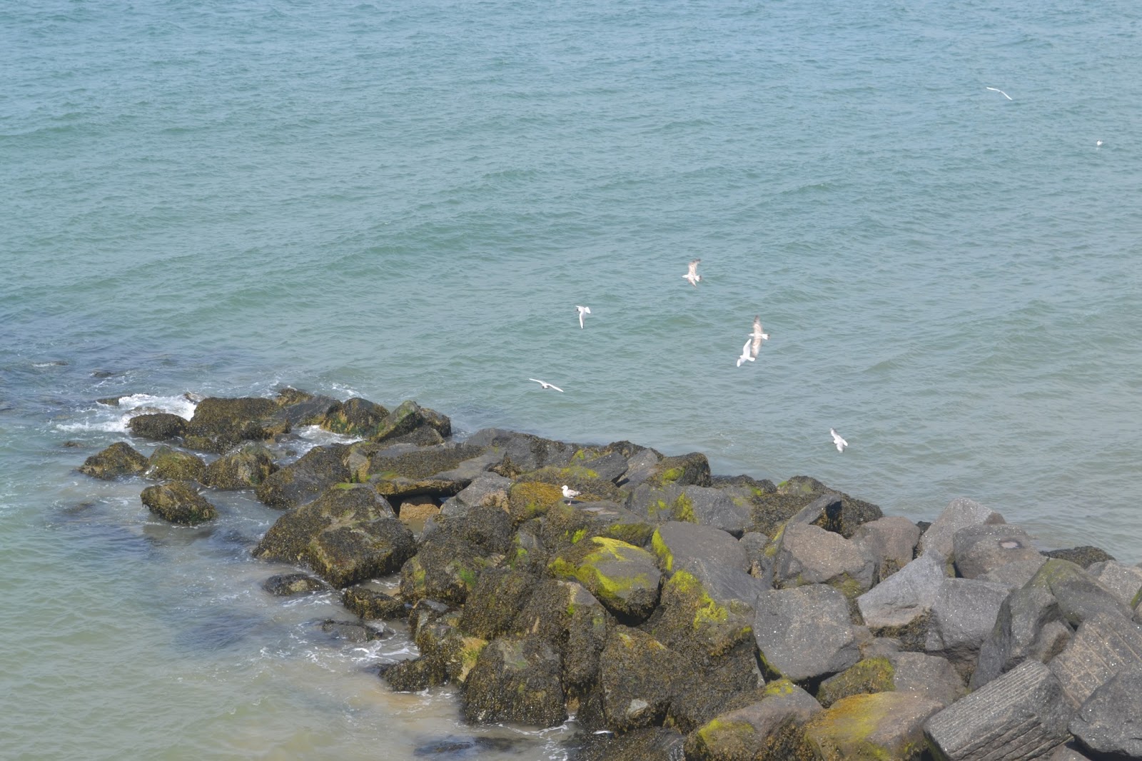 The Sheringham Trawler UK Lifestyle and Beauty Blog