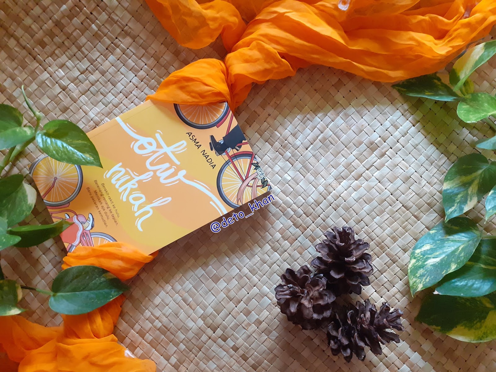Resensi Buku Otw Nikah Asma Nadia