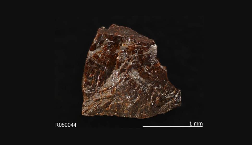 Geologists Find Rare Earth ElementBearing Rocks in Mojave Desert