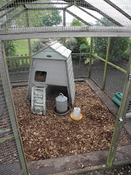 painted coop fancy houses chicken hen decorated favourite flyte inside