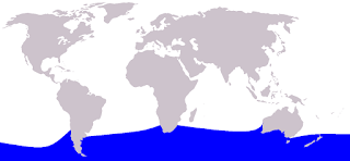 Güney şişe burunlu balinasının yayılım haritası