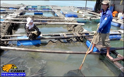 Công ty xây dựng hệ thống xử lý nước thải thủy hải sản -  Ô nhiễm môi trường do nuôi trồng thủy sản ven biển