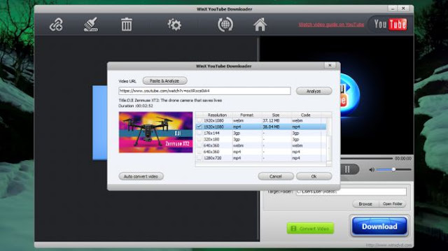 Winx youtube download