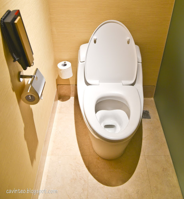 entree kibbles staycation at marina bay sands mbs crossing out one item on my bucket list singapore