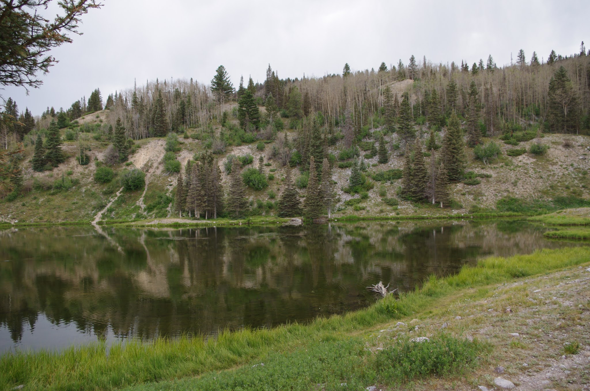 Southern New Mexico Explorer Canjilon Mountain Trail Carson National Forest