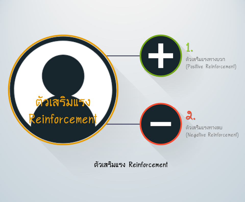 ตัวเสริมแรง Reinforcement