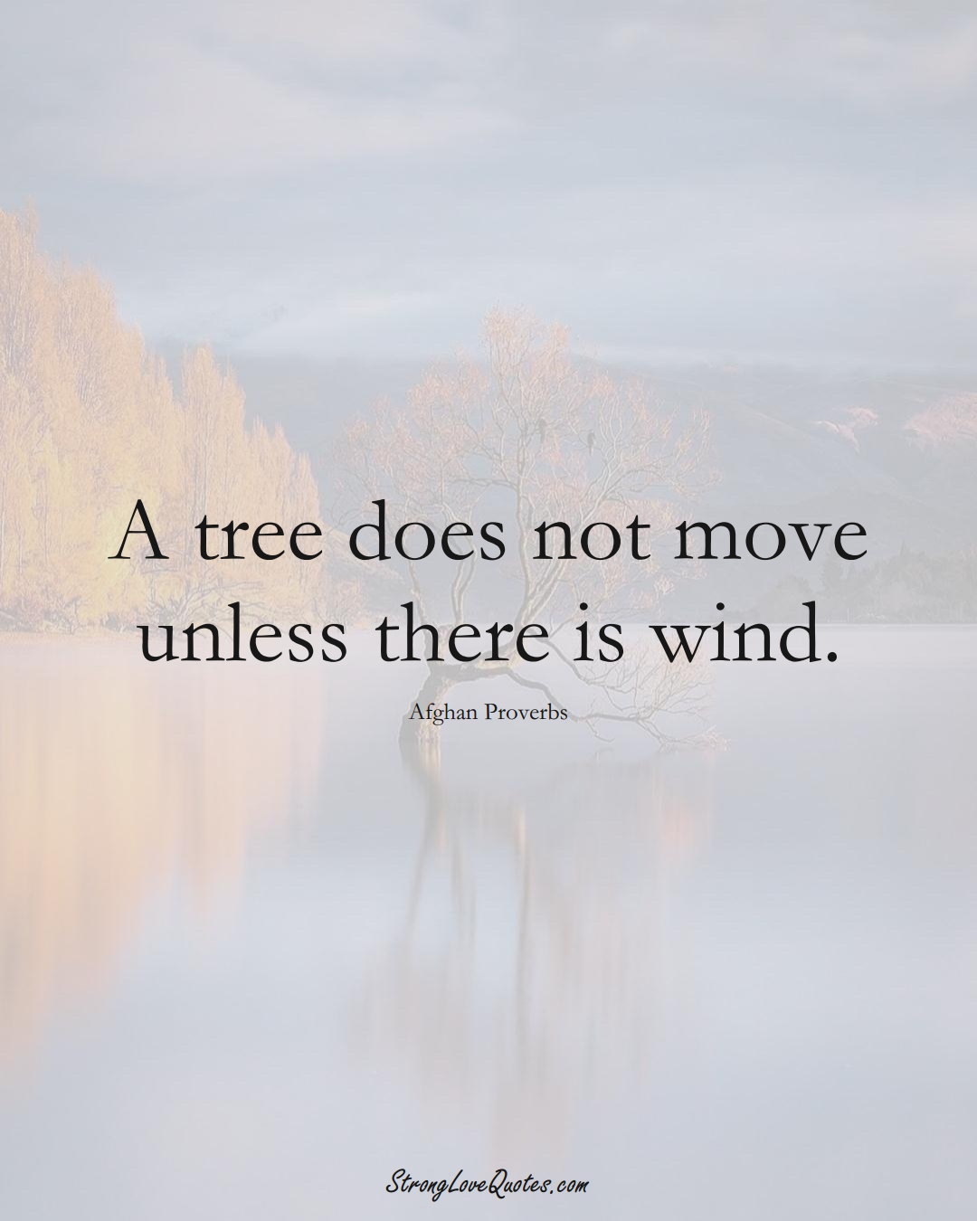 A tree does not move unless there is wind. (Afghan Sayings);  #AsianSayings
