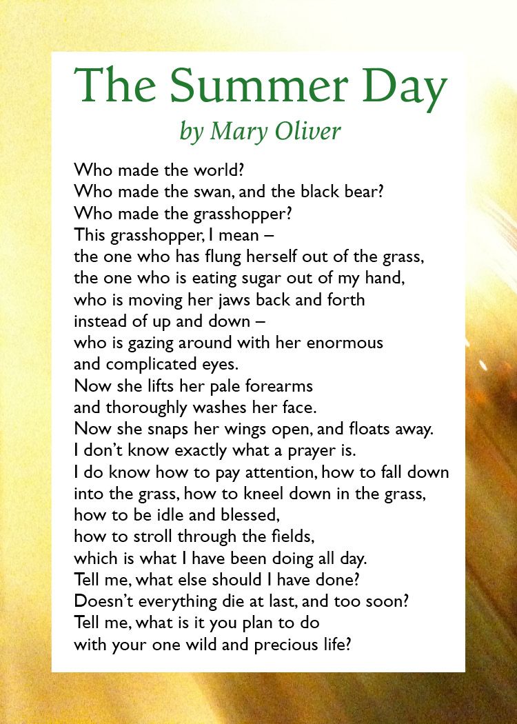 Life After All Finding Comfort in the Poems of Mary Oliver