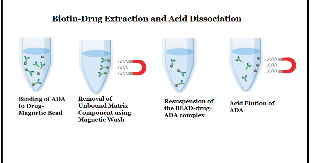 Bioanalytical Methods to Reduce Drug Interference in AntiDrug Antibody