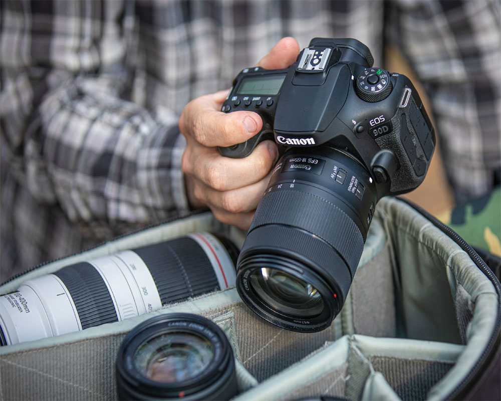 Canon digital digicam customers can again as much as Google Photos over