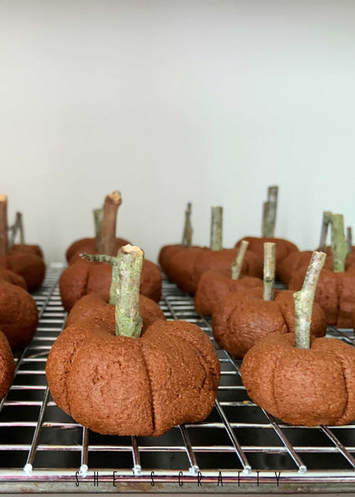 Cinnamon Pumpkins with twig stems for fall.