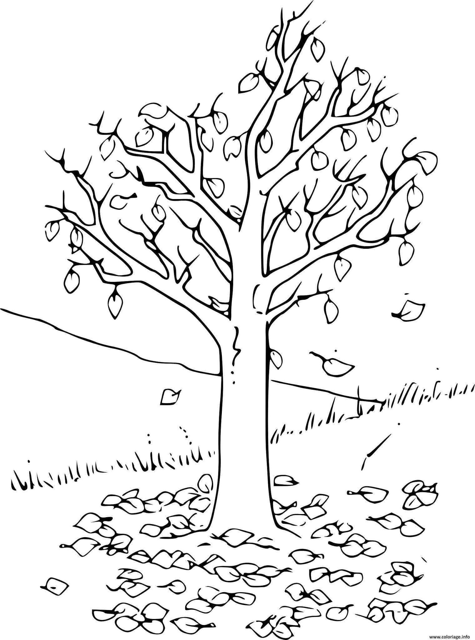 صورة شجرة للتلوين للاطفال قابلة للطباعة