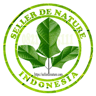 Alamat pt de nature indonesia | Agen Resmi Terpercaya