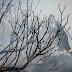 Ο Αντιπεριφερειάρχης Ανατολικής Αττικής κάνει τον πρώτο απολογισμό της καταστροφικής πυρκαγιάς