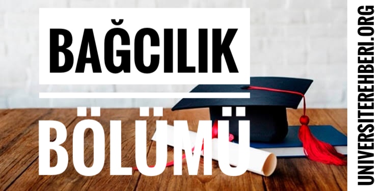 Bağcılık Bölümü Hakkında Bilgiler Nedir Ne İş Yapar? Üniversite