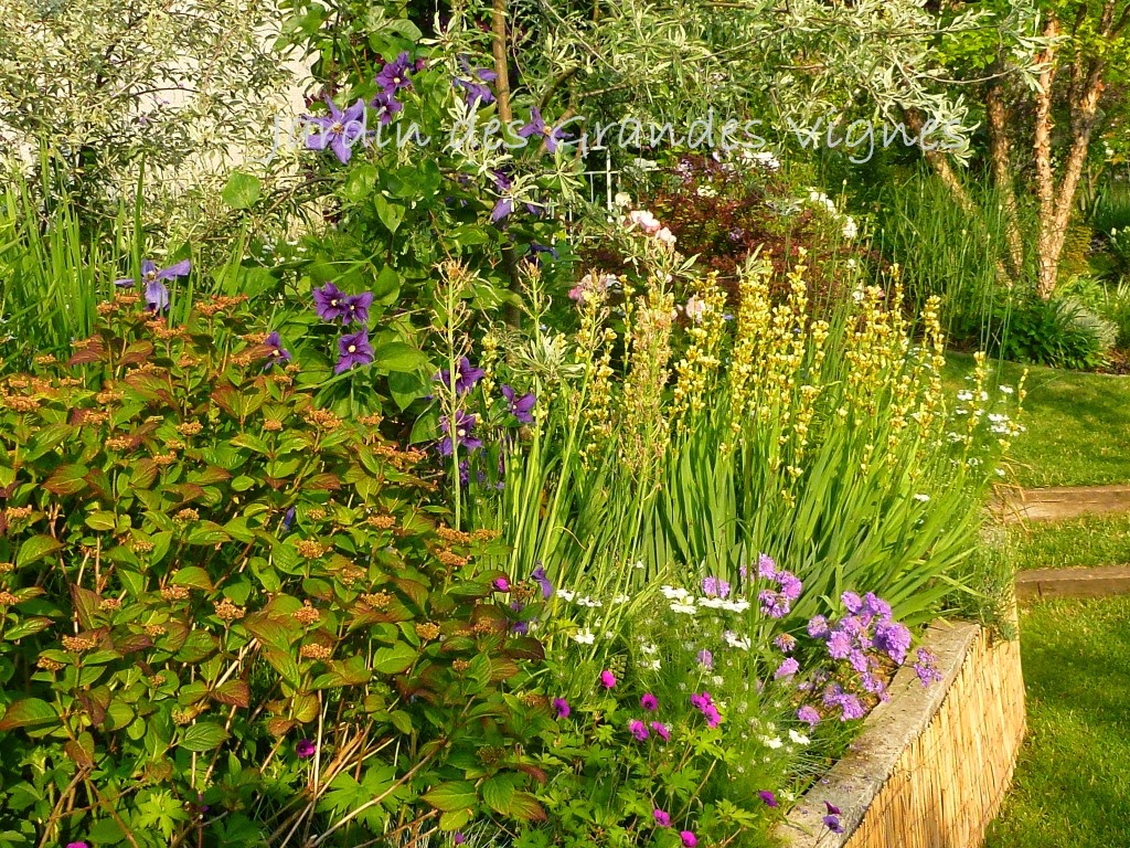 LE JARDIN DES GRANDES VIGNES: Rendez-vous Aux Jardins 2014