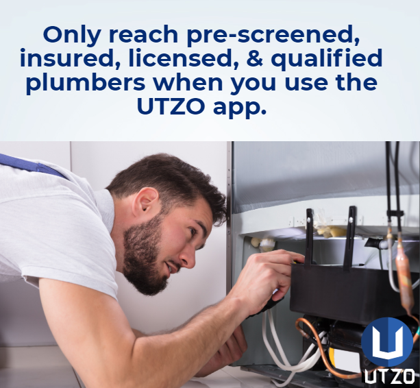 Local Experts for Garbage Disposal Services in Mount Hamilton