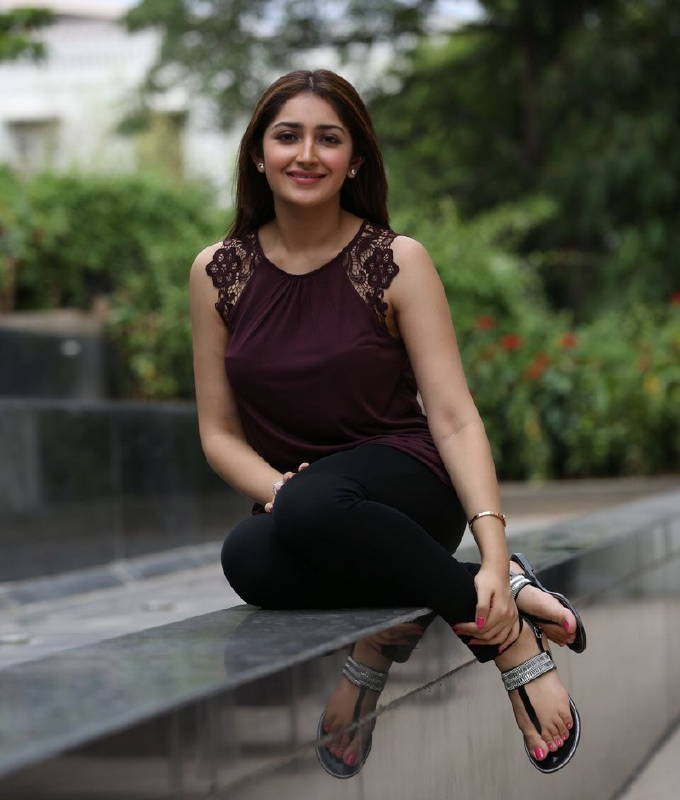 Sayesha Saigal Lifestyle 2020, Husband, House, Cars, Salary, Family and