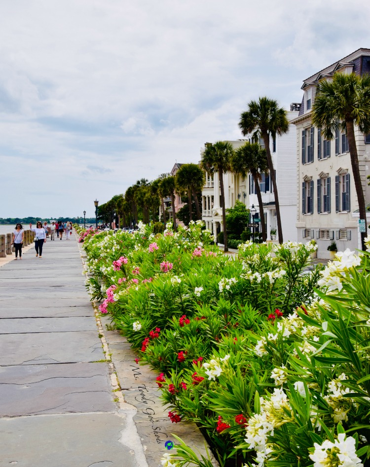 10 Things To Do In Charleston: #5 - Walk along The Battery and ogle the mansions | Ms. Toody Goo Shoes #Charleston