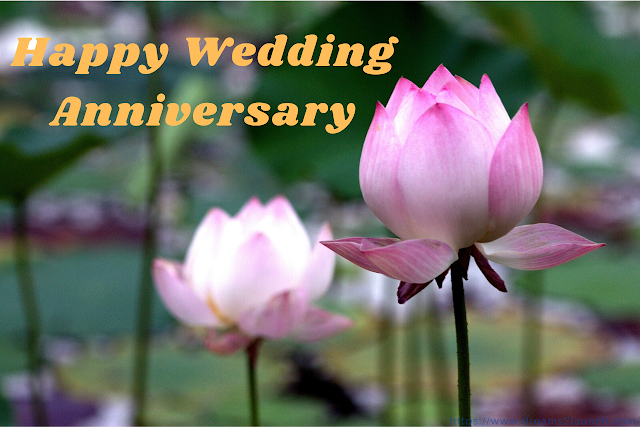 wedding anniversary wishes with photo