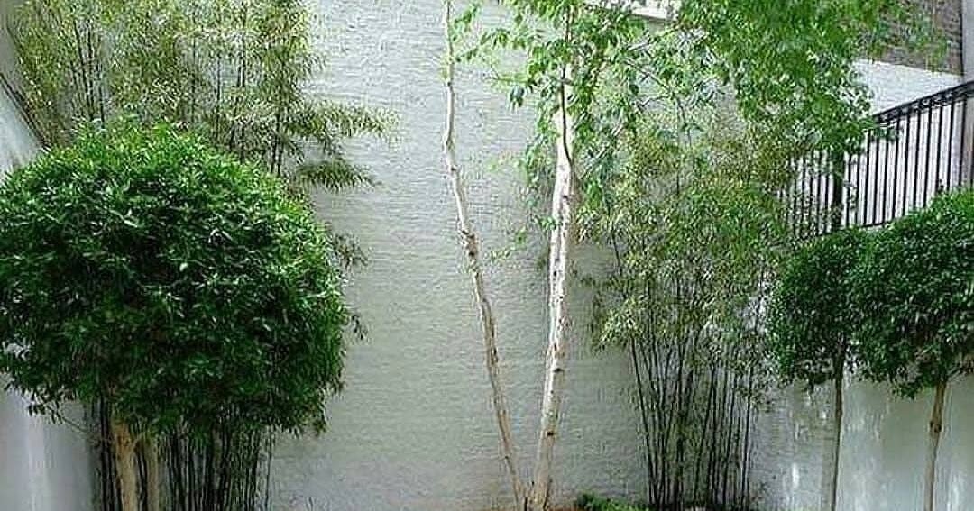 24 Konsep Taman Kolam Minimalis Belakang Rumah | Desain ...