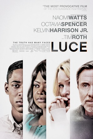 Luce (2019) Hindi Dual Audio 1GB Bluray 720p