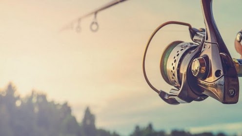 99 Cari Arti Mimpi Mancing Belut Menurut Primbon Islam Hindu Dan Kristen Firasat Mimpi Mancing