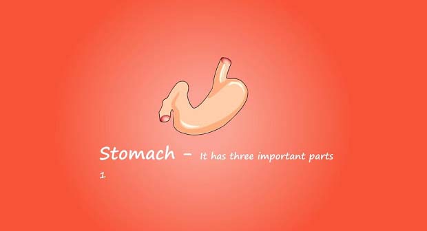 digestive issues For e.g. if the powder of 1 grams of Nigella seeds mixed in a glass of water is drunk, it gives immediate relief in case of digestive issues.