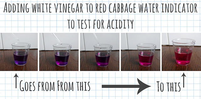 adding white vinegar to red caggabe water indicator changes colour