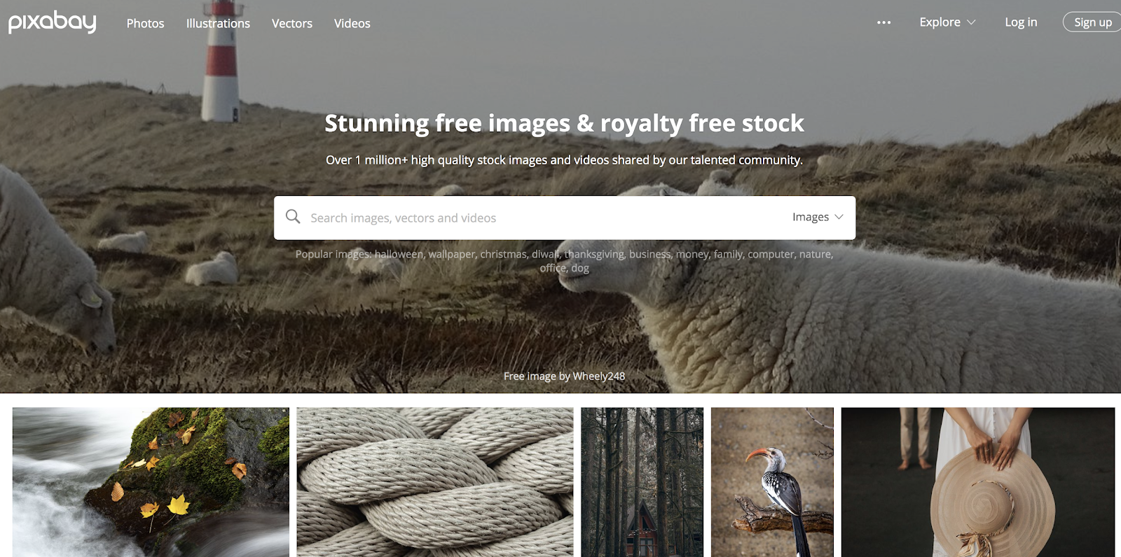 create free image hosting website